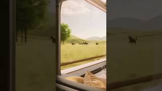 Ferdi Tayfur Kurtuldum