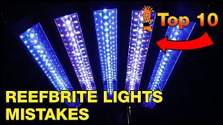 orm Årligt hjælpeløshed Things to Consider Before Using Reef Brite XHO and LumiLite LED Strips for  Your Reef Tank Lighting - YouTube