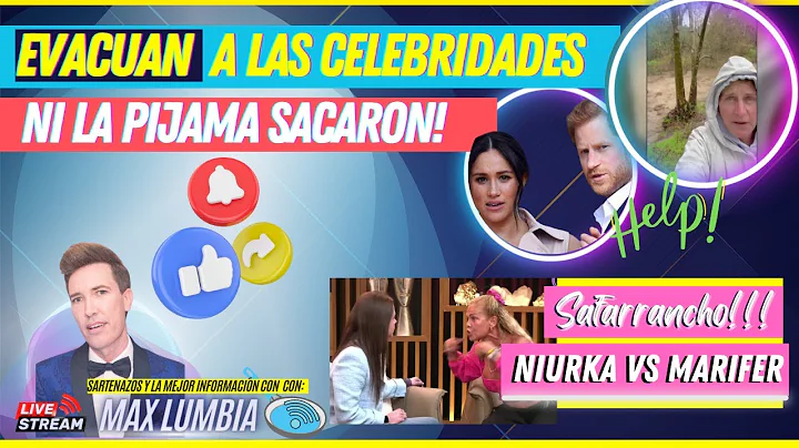 Aline Hernndez VS Rene Franco, Mafer contra Niurka...