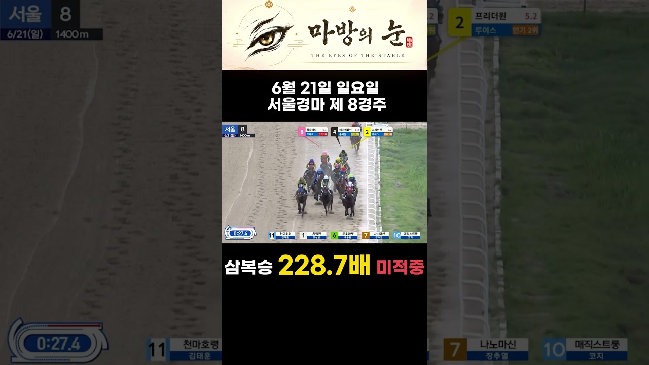 삼복승 228.7배 터진 6월 21일 서울 8경주, 미적중 결과 공개