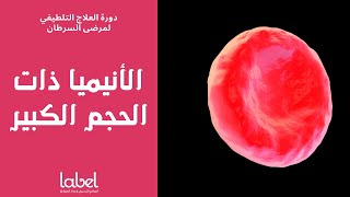 Anemia & fatigue (6) | الأنيميا الكبيرة | د. معاذ طحان