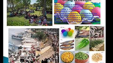 Primary 2 Connect plus unit 11 part 4