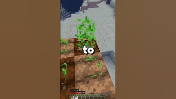 Earn Money Fast In Any Minecraft Server!