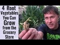 4 Root Vegetables You Can Grow from the Grocery Store