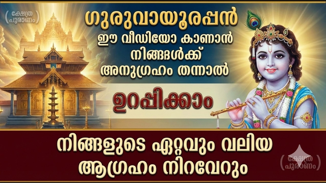 ഈ വീഡിയോ വിട്ട് കളഞ്ഞാൽ വലിയ നഷ്ടം