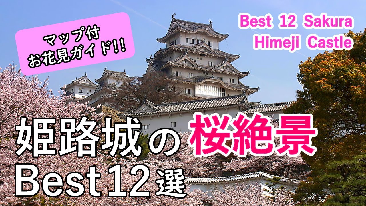 姫路城の桜絶景ベスト12選 / 姫路城のお花見ポイントをマップ付きで徹底ガイド！ / Best 12 Cherry Blossom (Sakura) in Himeji Castle, Japan