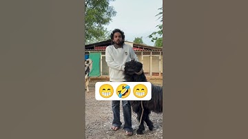 Funny Comments reading 😁| Part 28😁 #shorts #funnycomment #commentsreading  #funnycomments2fun