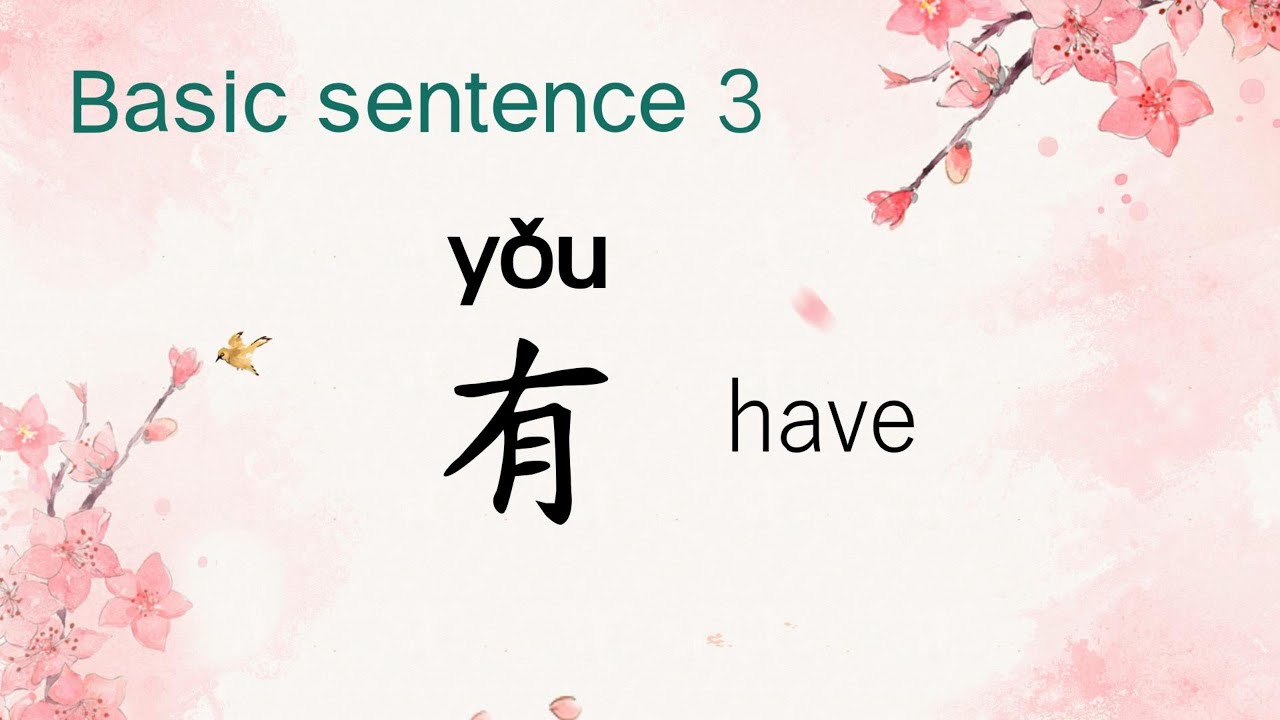 Basic sentence 3,have ,有, Chinese with Lucy - YouTube