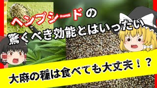 【栄養満点】チルアウトに入っている！？大麻の種ヘンプシードの驚くべき効能とは！？【ゆっくり解説】