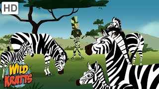 Wild Creature Camouflage Zebras, Cheetahs, Octopuses More Full Episodes Wild Kratts