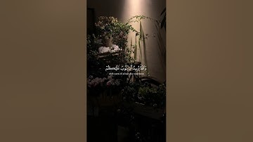 ﴿ وَاللَّهُ يُرِيدُ أَن يَتُوبَ عَلَيْكُمْ ﴾ سورة النساء الآية: 27 | القارئ : الشيخ محمد اللحيدان