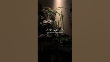 ﴿ وَاللَّهُ يُرِيدُ أَن يَتُوبَ عَلَيْكُمْ ﴾ سورة النساء الآية: 27 | القارئ : الشيخ محمد اللحيدان