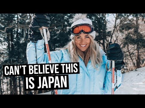 Best Place to Ski in Japan | You NEED To Go Here