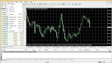 How to change the language on Meta Trader 4