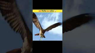 Story 6 #story #storytime #shorts #art #anime #lofi #naruto #fyp