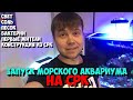 #6 Запуск морского аквариума (сухой рифовый камень)