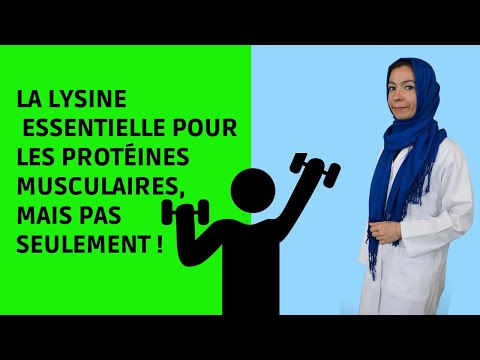 Bienfaits de la LYSINE : musculation, rôles, aliments, contre-indications, recommandations en 5 min