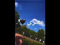عمري شريكي يلا