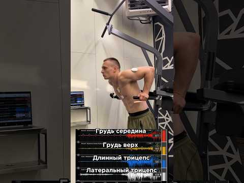 Кто хочет тренироваться по моей персональной программе в тг/инст