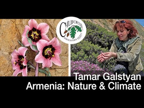 Video: Natura dell'Armenia: foto, flora e fauna. Montagne dell'Armenia