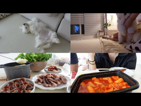 주부 일상 | 소파 교체 | 콩이 5차 접종 | 마트 장보기 | 집밥 일기