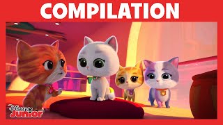SuperChatons - Compilation : Fête des chatons screenshot 1