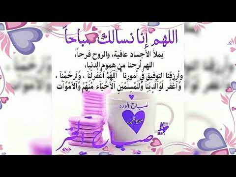اللهم إنا نسألك صباحا يملأ الأجساد عافية والروح فرحا صباح الخير قناة فلسطين الحبيبة