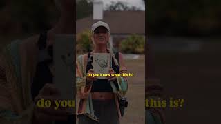 What Is This? Wrong Answers Only