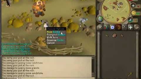 Runescape Working Autominer bot