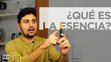 ¿Qué es la esencia de una persona ejemplos?