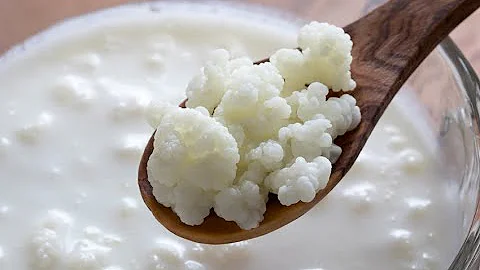 How to Make Coconut Water and Milk Kefir with Donn...