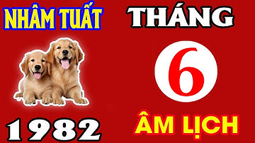 Bản Mệnh Tuổi Nhâm Tuất 1982 Trong Tháng 6 Âm Lịch Năm 2025