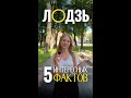На фестиваль света в город Лодзь! 26.09 - 28.09.2025  Это потрясающее зрелище, когда улицы
