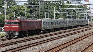 【配給輸送】 EF81-134+E231系5両 浦和～赤羽通過