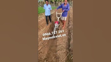 Máy cắt cỏ đẩy tay gắn đầu xới đất mini | máy xới đất mini