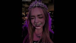 Montagem Miaulenar Lyrics & Türkçe Çeviri Part 3