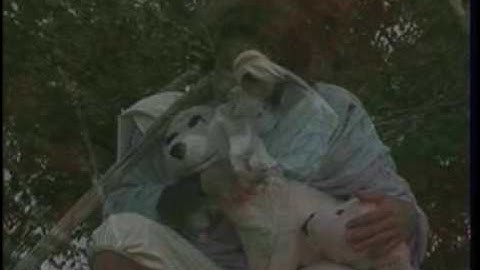 Song "Snowflake" Children