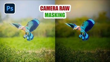 The Easy Way to Get Pro Level Color Grading with Camera Raw Masking