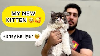 My New Persian Kitten  | Ghar aya Naya Mehman