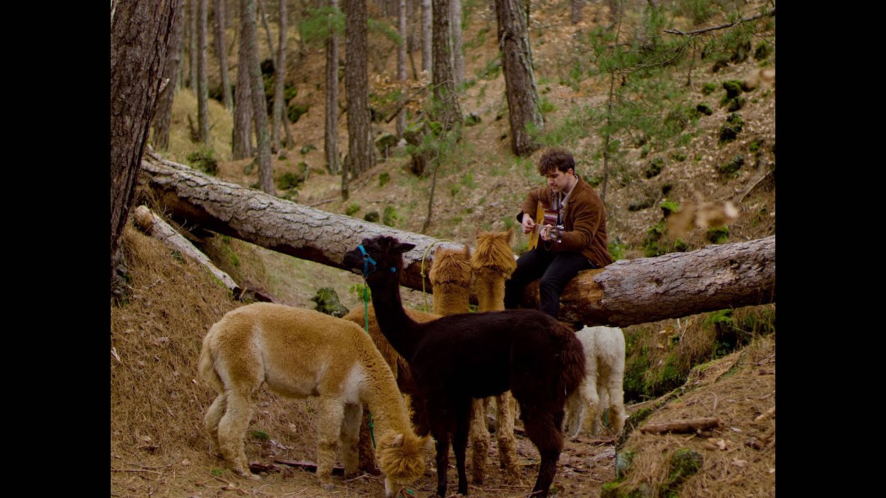 Watch Marco Castello - Porsi (Official Video) on YouTube Watch Marco Castello - Porsi (Official Video) on YouTube