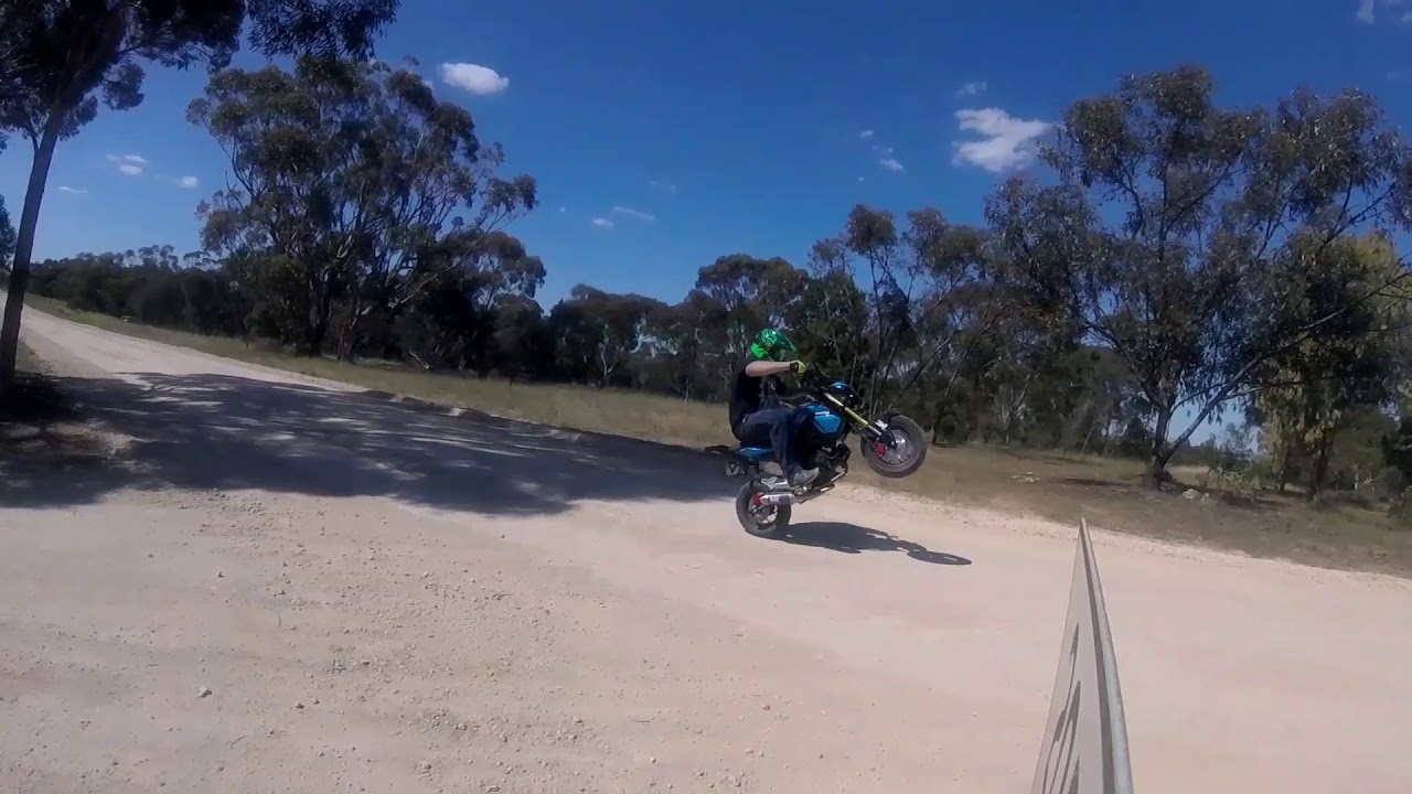 wheelie grom