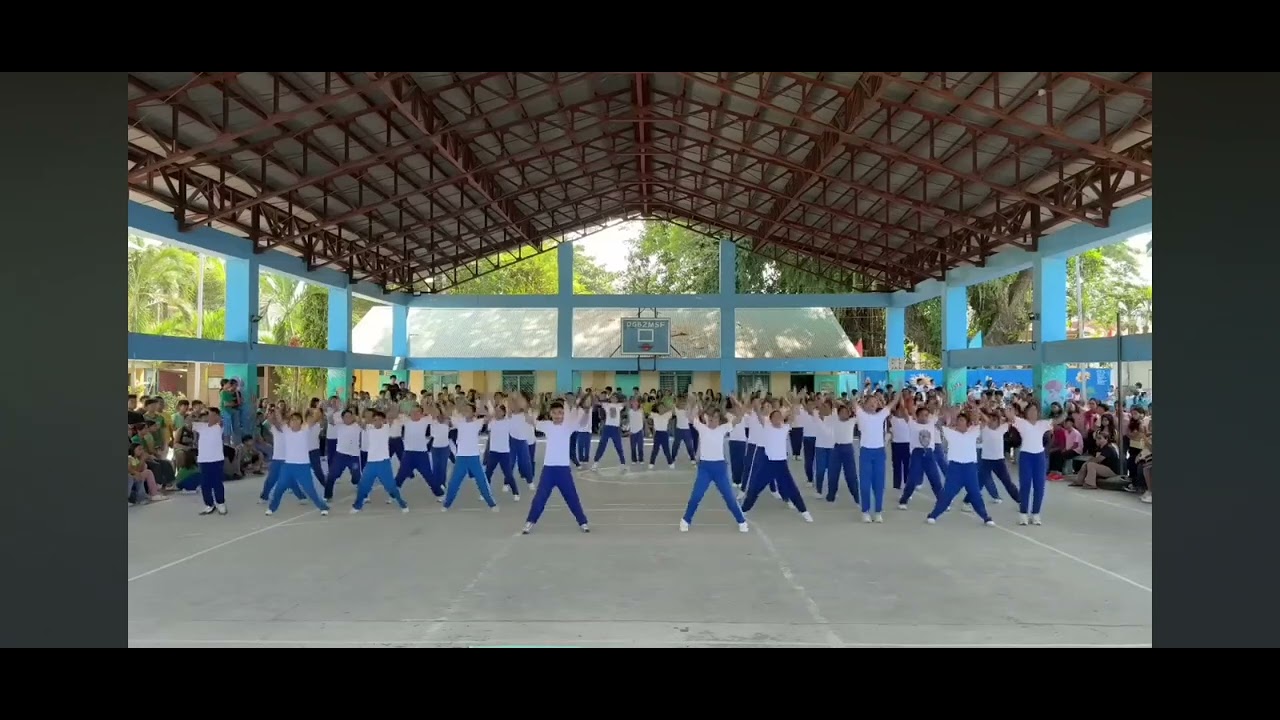 Palarong Pambansa (This video is not mine)
