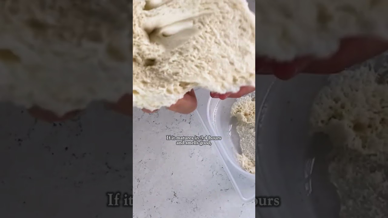 Lievito Madre 🇮🇹✨ Полный рецепт смотрите по ссылке в описании!