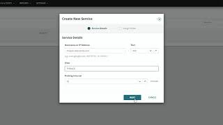 How to Set Up a NetPath Service screenshot 4