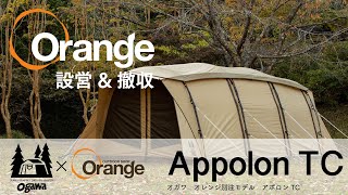 Ogawa×Orange【オガワ×オレンジ】Apollon TC　(アポロンTC）「オレンジアウトドアショップ」