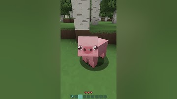 Types of Texture Packs in Minecraft