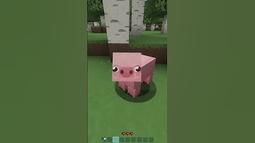 Types of Texture Packs in Minecraft