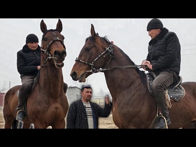 Tarmoq Ferro porno videolar Atrofda yuradi va ayollarga erkalaydi