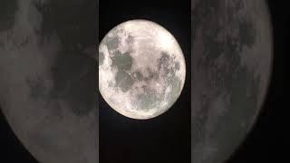 Ночник настенный Луна