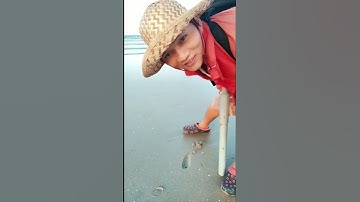 Livestream bắt tôm tích Sữa - Cách sử dụng cây ống hút tôm tít  #ốnghúttômtít